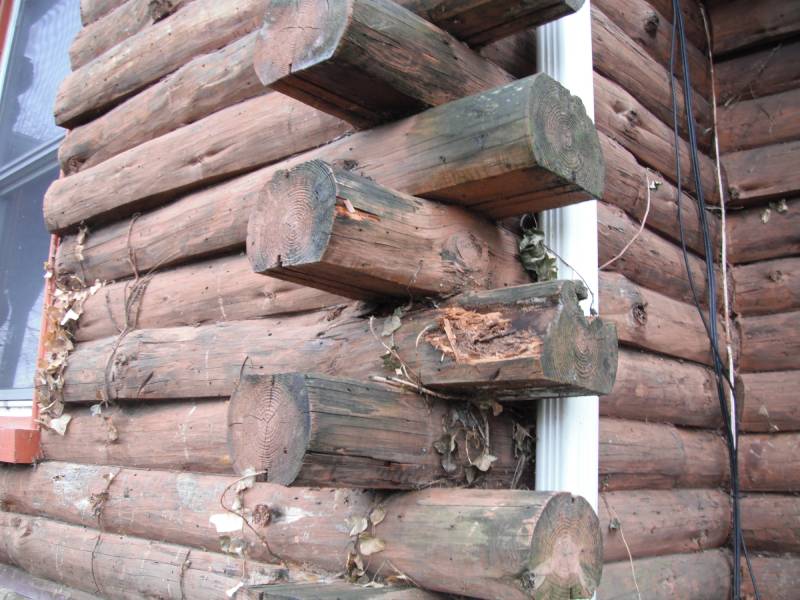 Log home building & restoration